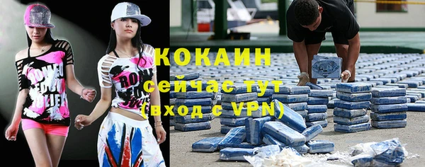 бошки Алексин