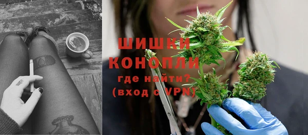 бошки Алексин