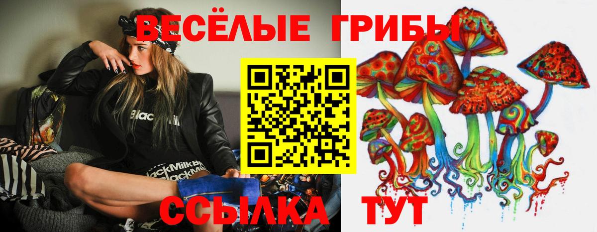 Псилоцибиновые грибы MAGIC MUSHROOMS  Вход с VPN  Слободской  Псилоцибиновые грибы Psilocybine cubensis 