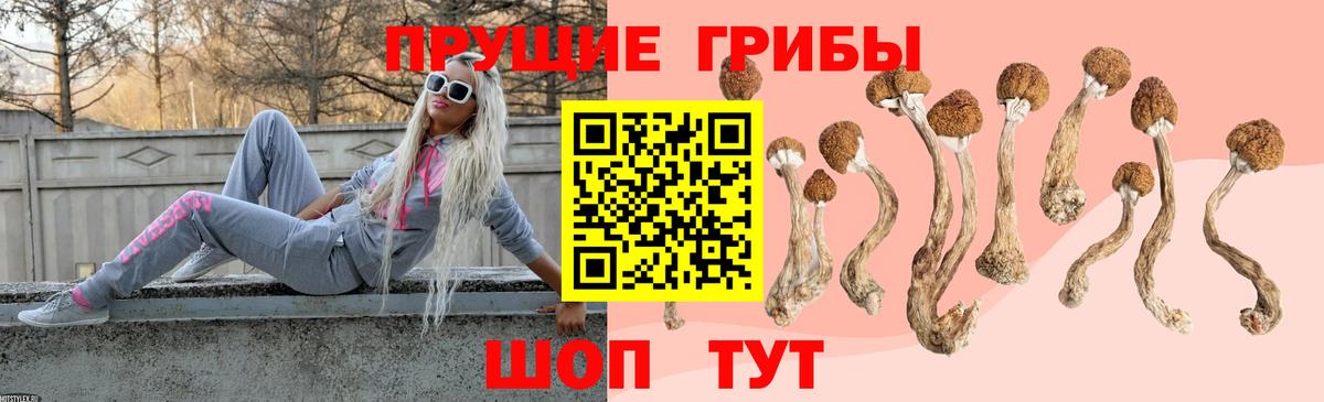 Псилоцибиновые грибы Magic Shrooms Слободской