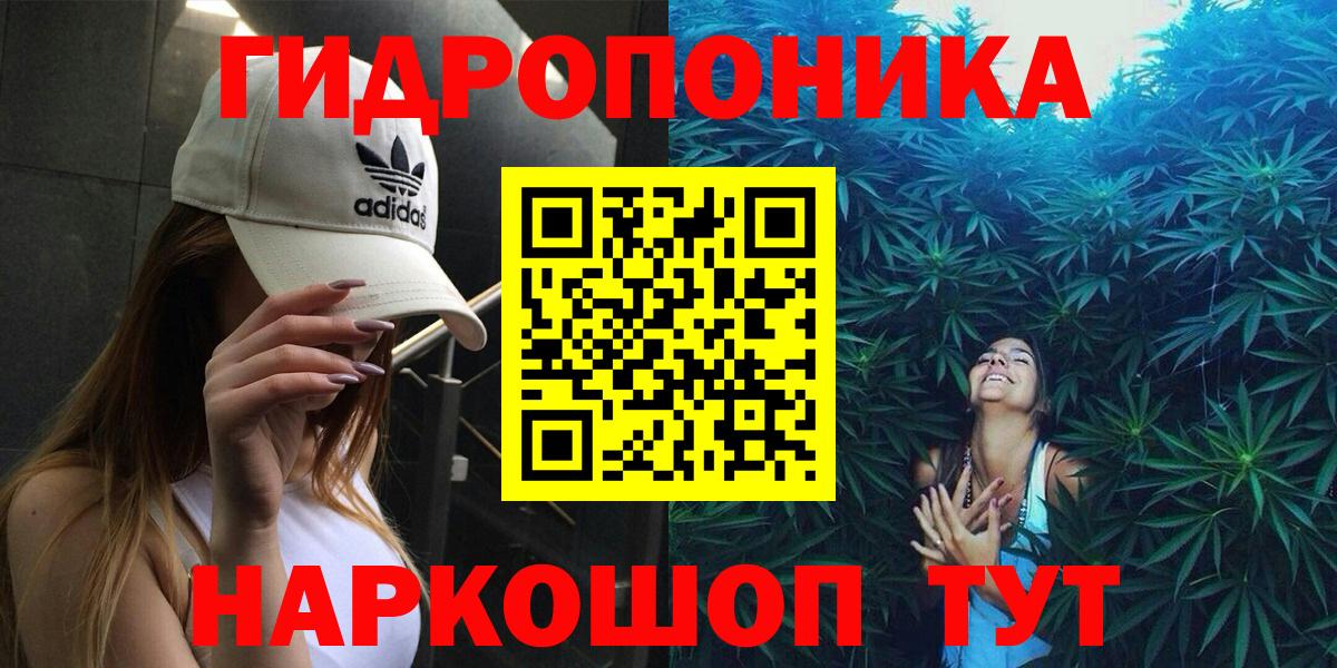 Каннабис сатива Слободской